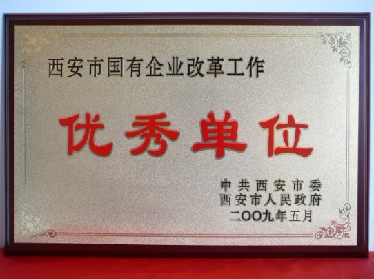 2009年5月，被西安市委、市政府評(píng)為西安市國(guó)企業(yè)改革工作優(yōu)秀單位