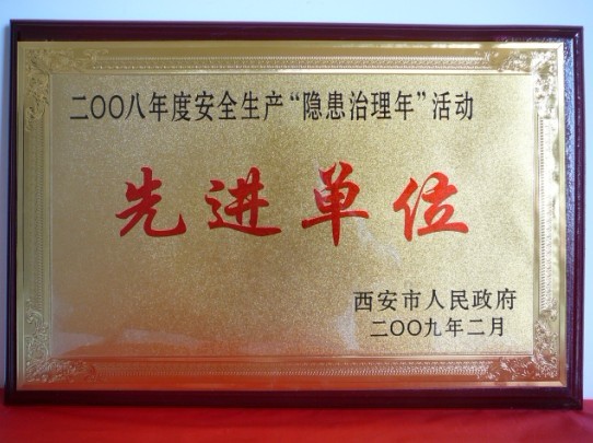 2009年2月，被西安市人民政府評(píng)為2008年度安全生產(chǎn)“隱患治理年”活動(dòng)先進(jìn)單位