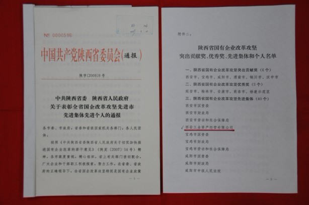 2009年2月，被陜西省委、省政府授予陜西省國(guó)有企業(yè)改革攻堅(jiān)先進(jìn)集體